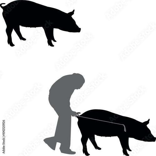 Hampshire Pig Show Vector File, Livestock Judging Vector, Farm Girl Boy Vector, 4-H, FFA Show - Vector Art 