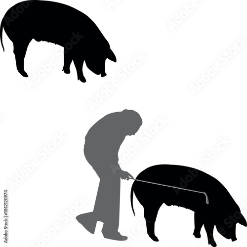 Hereford Pig Show Vector File, Livestock Judging Vector, Farm Girl Boy Vector, 4-H, FFA Show - Vector Art 