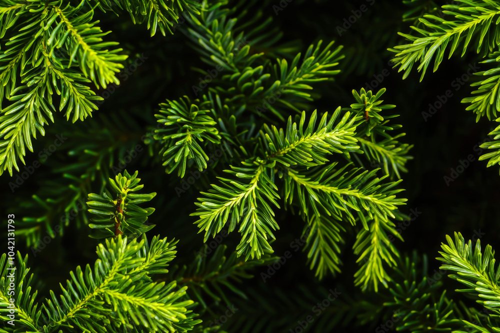 Christmas fir tree branches Background. Christmas pine tree wallpaper. Copy space. Generative AI Christmas fir tree branches Background. Christmas pine tree wallpaper. Copy space. Generative AI