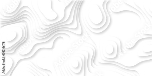 Minimal abstract vector wave carve diamond topography line circle creative 3d papercut white background. Luxury white wave and empty space for texture art design.