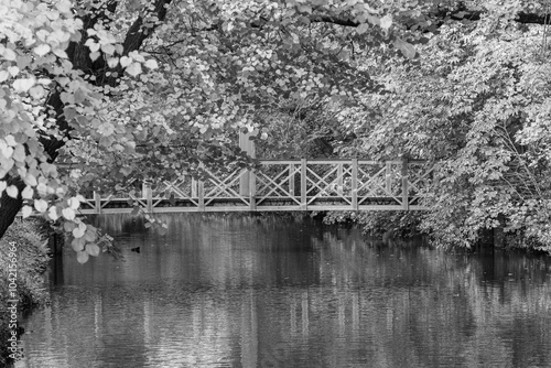 Wallpaper Mural Herbstliche STimmung im Münsterland bei Borken Torontodigital.ca