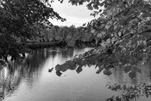 Herbstliche STimmung im Münsterland bei Borken photo