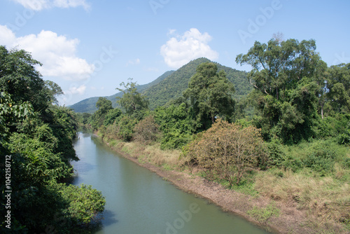 rivulet from river 