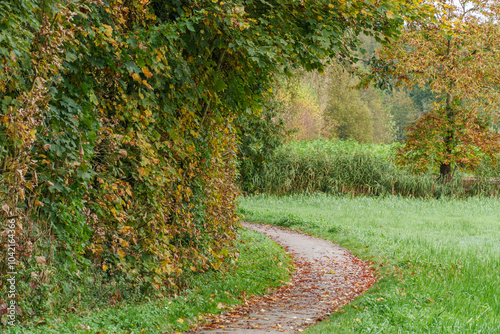 Herbst im westlichen Münsterland photo