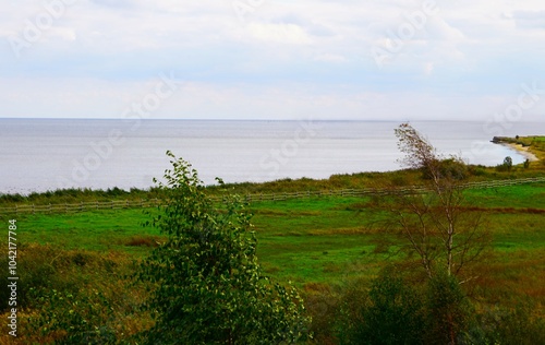 Widok na morze z wysokości. Łąka, Morze Bałtyckie i roślinność nadmorska, linia brzegowa.