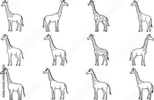 Giraffe Line Art Collection Vector Illustration photo