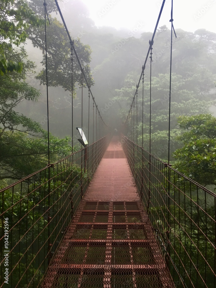 Fototapeta premium bridge in the forest in Monteverde Costa Rica 