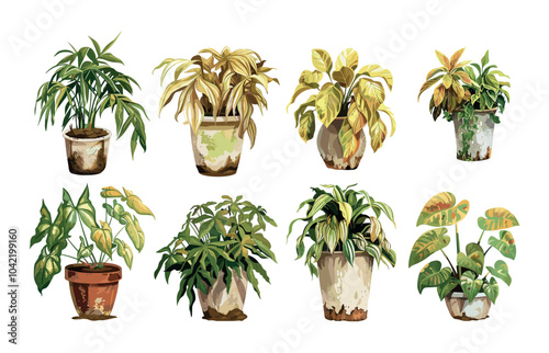 Wilted dehydration herbs cartoon vector set. Bushes dry soil arid fading various stages houseplants, withering plants wilting leaves pots, botany remains no water flora disease, isolated artworks