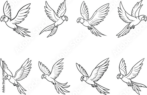 Set of Birds Line Art Vector Illustration