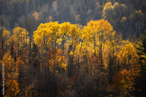 Autumn in Redbridge Northern Ontario photo