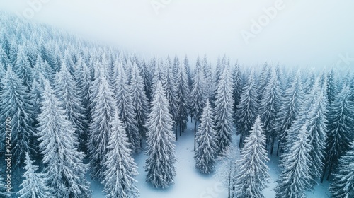 This enchanting winter forest features snow-covered trees in pastel hues, contrasting beautifully with a bright blue sky and fluffy white clouds, all seen from a bird's-eye perspective