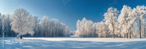 Winter landscape with frosted trees under clear blue sky in a serene outdoor ...