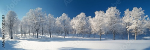 Winter landscape with frosted trees under clear blue sky in a serene outdoor ...