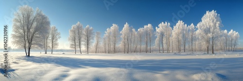 Winter landscape with frosted trees under clear blue sky in a serene outdoor ...