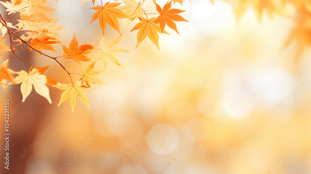 Autumn yellow leaves on blurred background.A Golden autumn concept. Sunny day, warm weather Autumn yellow leaves on blurred background.A Golden autumn concept. Sunny day, warm weather