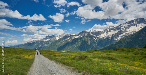 View and panorama of the mountains of Val Di Sole, with snow-capped mountain peaks in summer photo