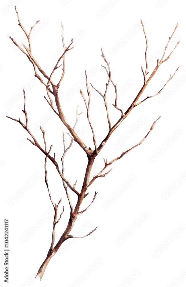PNG Dry branchs art illustration tree. PNG Dry branchs art illustration tree.