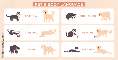 Animal language. Dog and cat body expression poses. Pets in various emotional pose for educational poster. Animals emotions racy vector banner