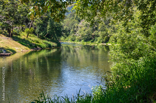Beautiful landscape of Alsea River in Siuslaw Forest in Oregon