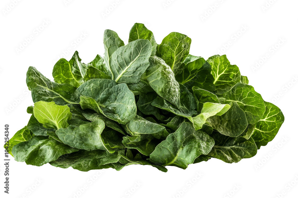 Fresh green leafy vegetables arranged for healthy cooking and nutrition,Isolated on transparent background Fresh green leafy vegetables arranged for healthy cooking and nutrition,Isolated on transparent background