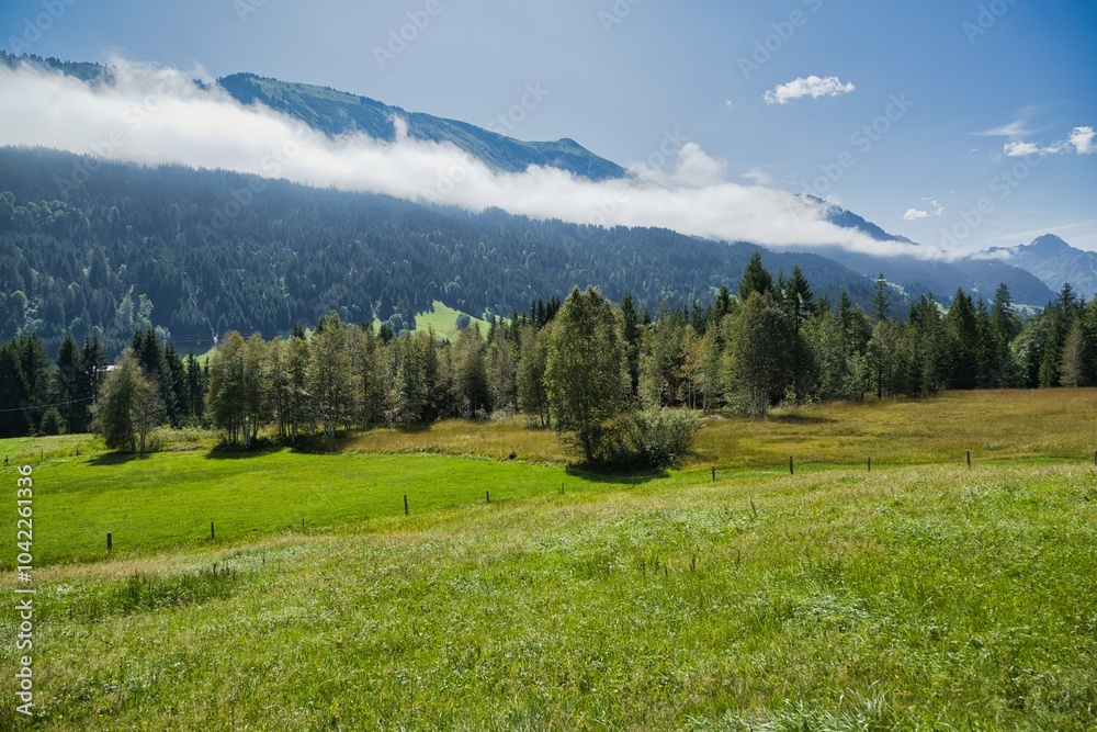 Fototapeta premium Oberstdorf, Allgäu, Fellhorn und Umgebung, Breitachtal