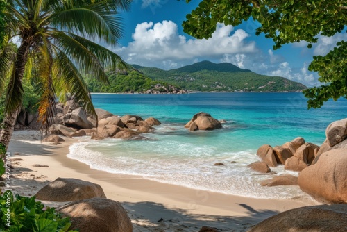 Panorama banner photo of idyllic tropical beach with palm tree