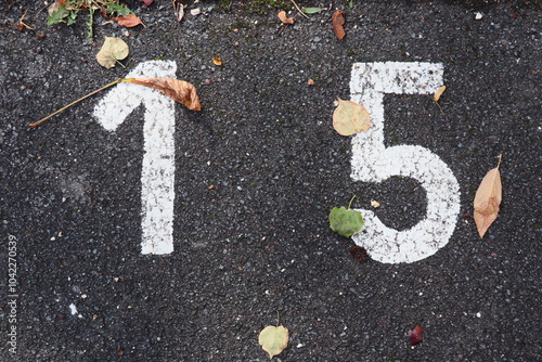 parking slot number '15' in white paint on bitumen street on the ground with leaves in fall photo