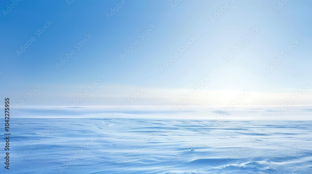 Fototapeta premium Winter Landscape