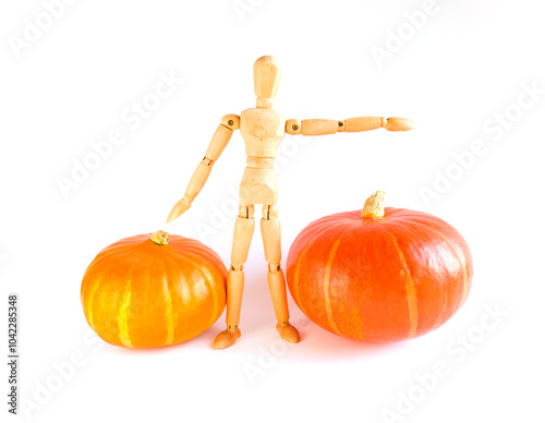 A wooden mannequin staying near the pumpkins, Small and big, Harvest concept, Isolated, White background