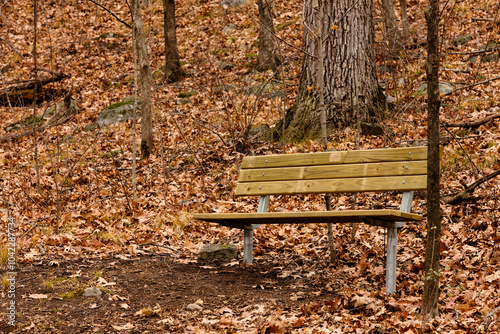 A park bench along the hiking trail in the late autumn wooded hillside along the hiking trail at the Pike Lake Unit, Kettle Moraine State Forest, Wisconsin