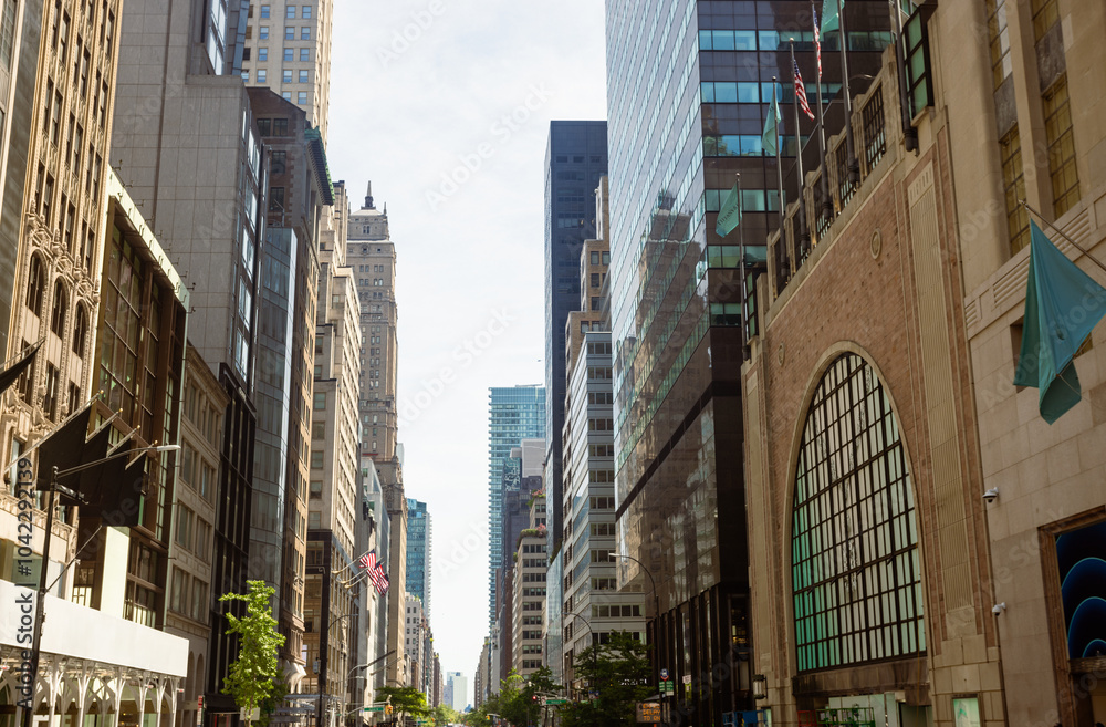 Obraz premium City Downtown Skyline View