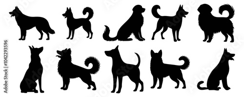 Vector illustration. Silhouettes of black dogs. Set of animal stickers. Large set. photo