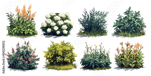 Shrub Bush Set Of Illustrations Different Shapes Sizes Textures Landscape Design Gardening Projects And Botanical Illustrations Perfect For Educational Materials Nature Books