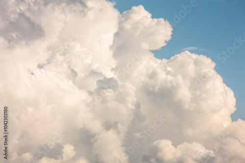 Canvas Print Billowing white clouds build high in the sky over  Moraine Park, Rocky Mountain National Park, Colorado in mid-July