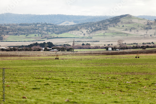 Lush green farm pastures Tasmania