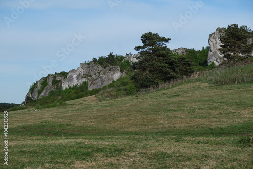 Limestone rocks between Mirow and Bobolice castles. Beautiful panorama. Polish Jura. Cracow-Czestochowa Upland. Poland.