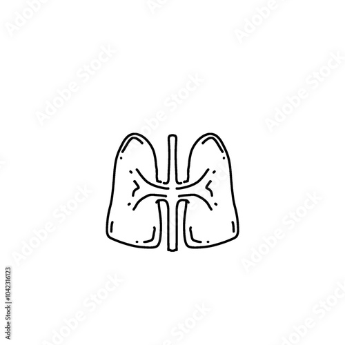 human lungs organ outline isolated