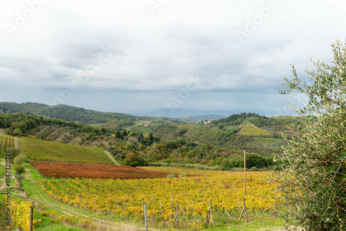 Paysage de vignoble en Toscane, Italie 