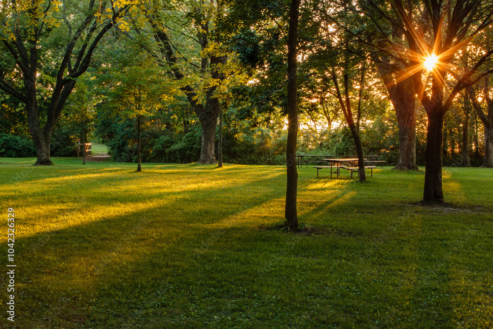 Naklejka premium Sunstar shoots through the maple trees in the late August evening, as the shadows diagonally cross the picnic area of the Pike Lake Unit, Kettle Moraine State Forest, Hartford, Wisconsin