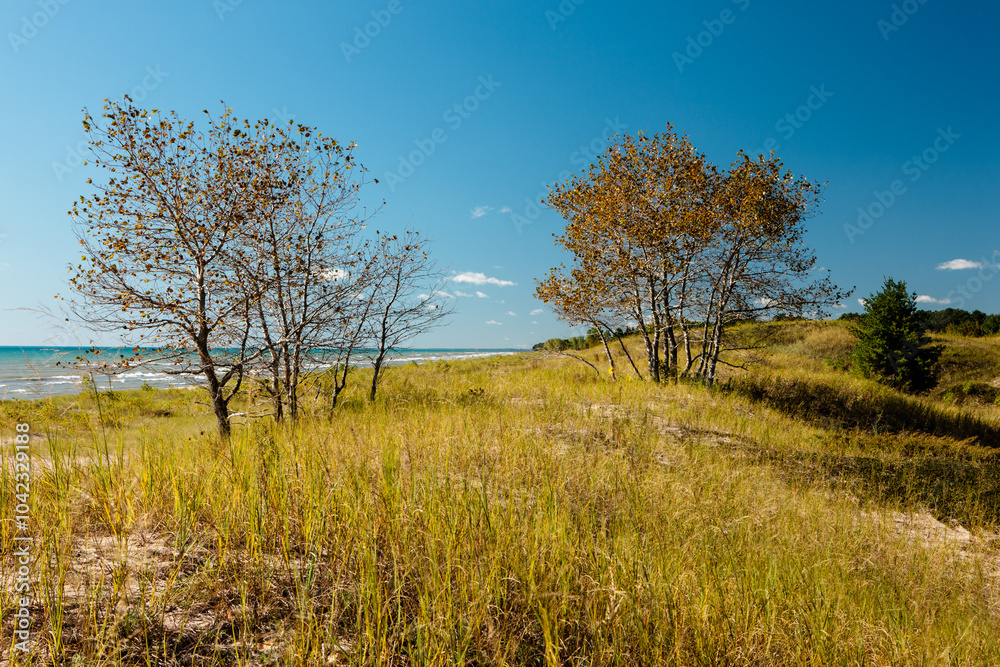 Looking south down the grass covered sand dunes within Kohler-Andrae State Park, near Sheboygan, Wisconsin on a beautiful mid-September morning. Looking south down the grass covered sand dunes within Kohler-Andrae State Park, near Sheboygan, Wisconsin on a beautiful mid-September morning.