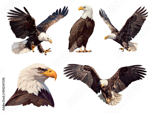 Bald eagle set. Wild bird of prey poses winged flying sitting head portrait, logo mascot vector illustration