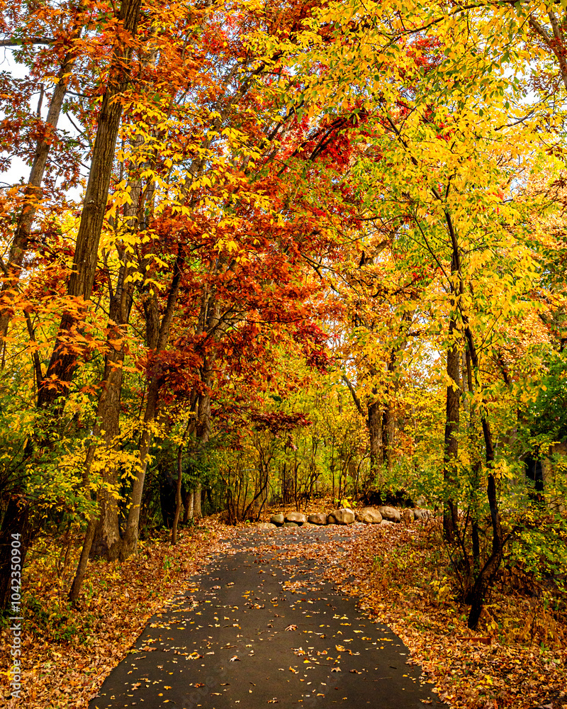 Autumn scenes under blue sky Autumn scenes under blue sky