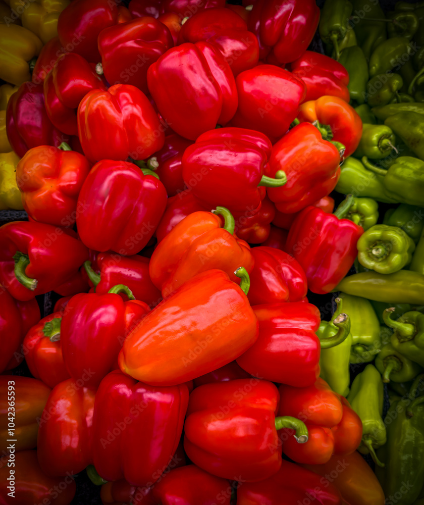 Vivid colors of autumn in food produce - red peppers with a green pepper inclusion. Vivid colors of autumn in food produce - red peppers with a green pepper inclusion.