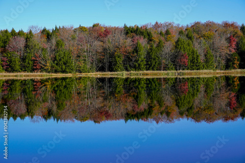 Beautiful fall day at Duman Lake County Park in Western Pennsylvania.  Colorful trees along one side of the lake. Amazing reflection of the trees on the water. photo