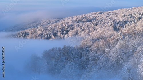 AERIAL: A sunlit forest, draped in fresh snow, peeks out above the morning fog that rolls around the hills and blankets the valleys below. Misty winter landscape in cool pastel tones on a sunny day.