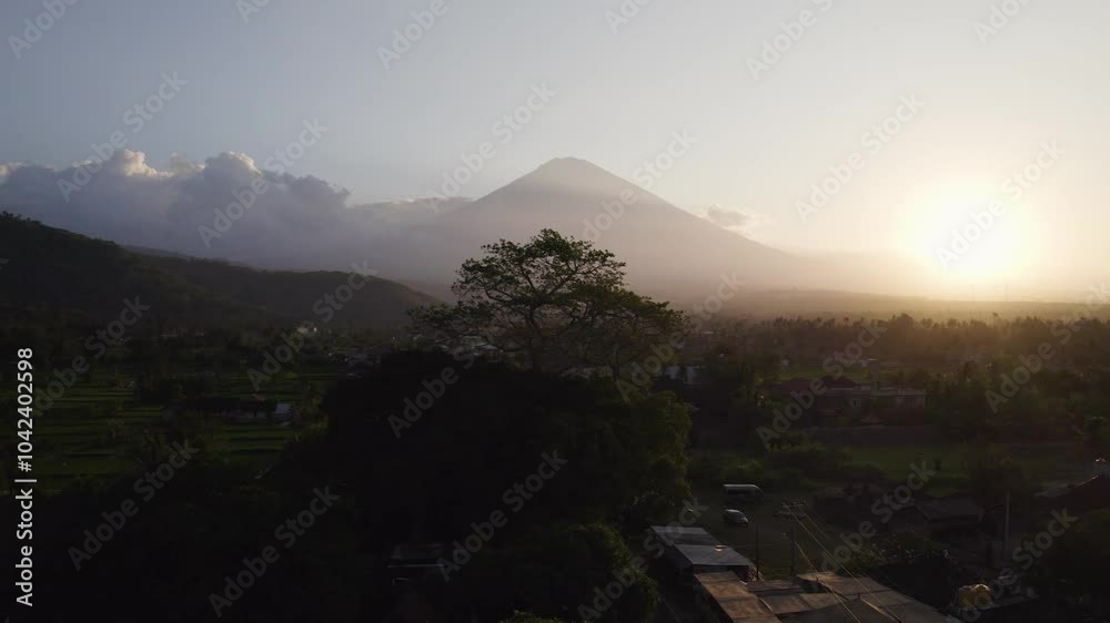 Aerial shot of a tree silhouette, with mount Agung in the background in Amed, Bali, Indonesia