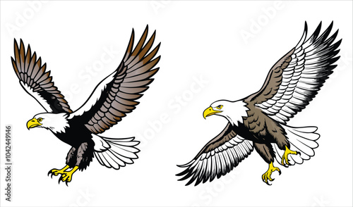 Bald eagle flying draw and paint on white background vector illustration photo