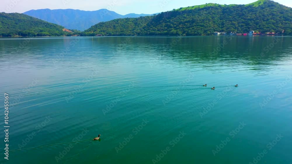 Laguna tranquila con patos nadando Santa Maria del oro Nayarit Mexico hermoso paisaje de la naturaleza laguna rodeada de montañas arboladas