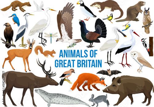 set of vector animals of great britain