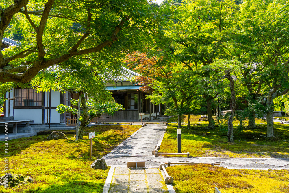 Obraz premium Japanese garden